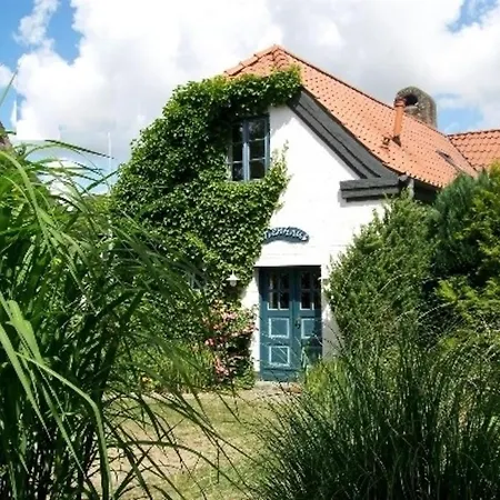 Alte Schmiede Tatil Evi